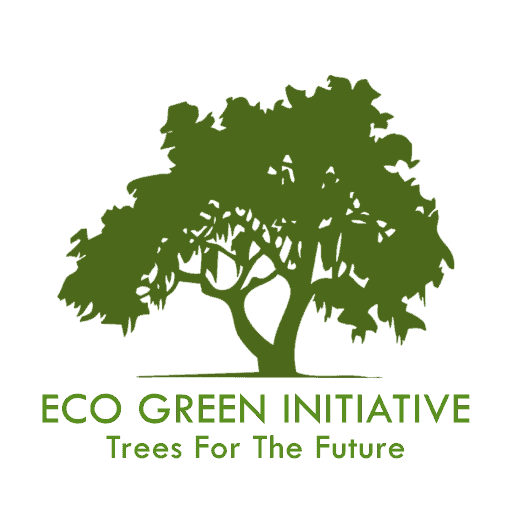 Eco Green Initiative