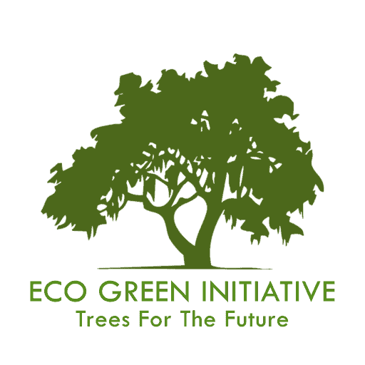 Eco Green Initiative