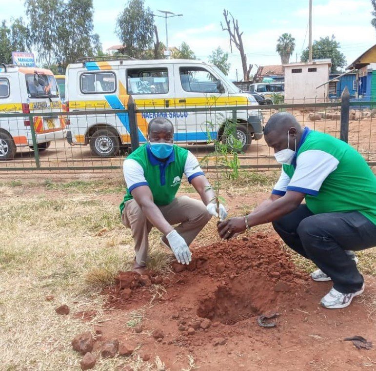 EGI Members participating in the World Environment Day 2020 by planting a tree