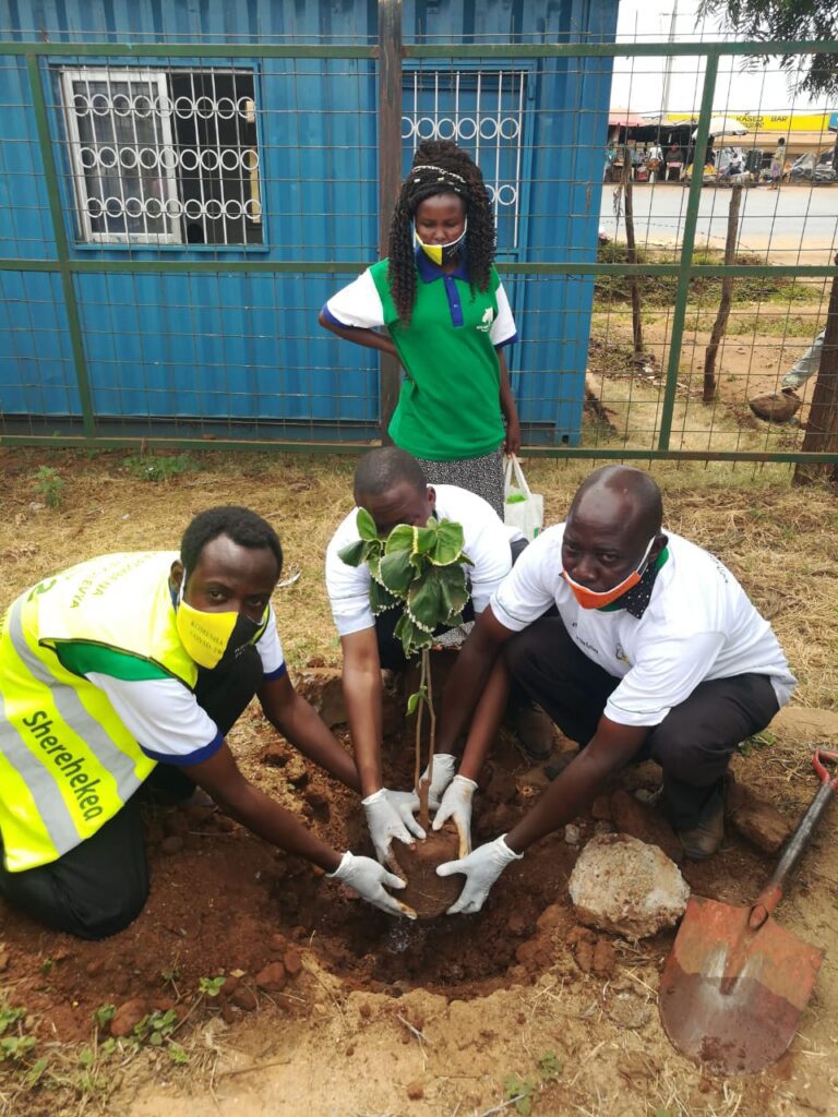 EGI Team Planting Trees at Emali Bus Park for EGI WED 05-06-2020 3
