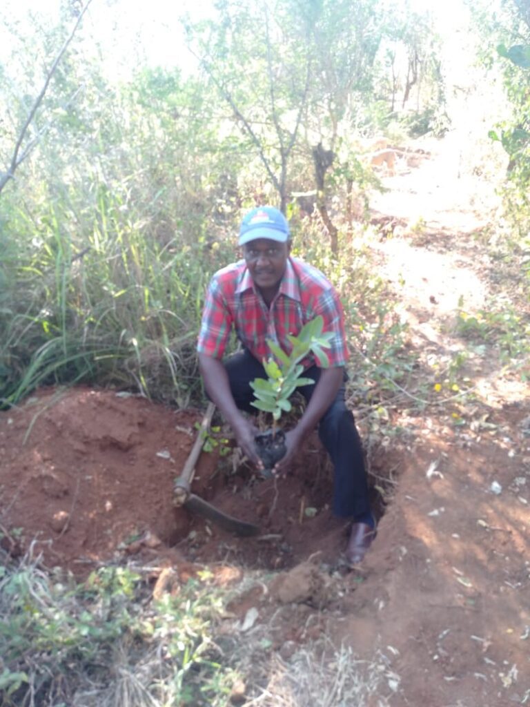 Gerald Kilei Home Tree Planting 05-05-2020