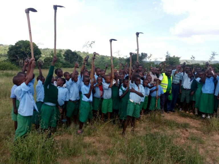 Katisaa Primary Tree Planting 1
