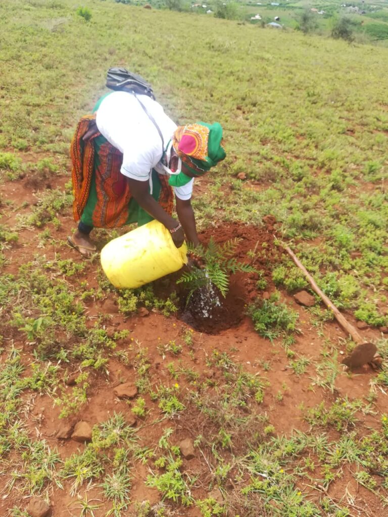KwaKamba Tree Planting 02-05-2020 12