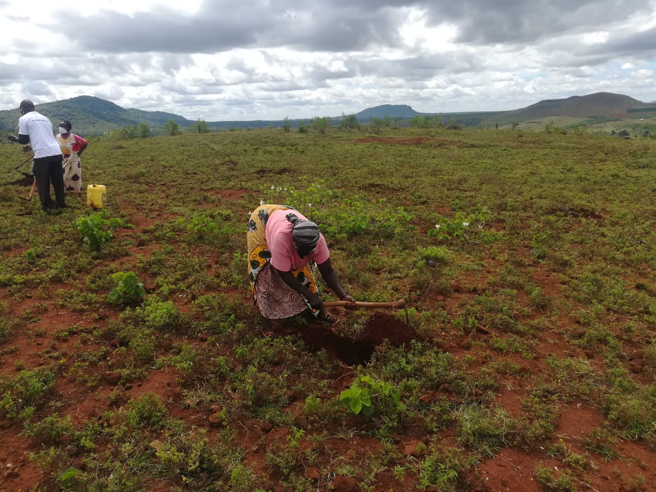 KwaKamba Tree Planting 02-05-2020 17