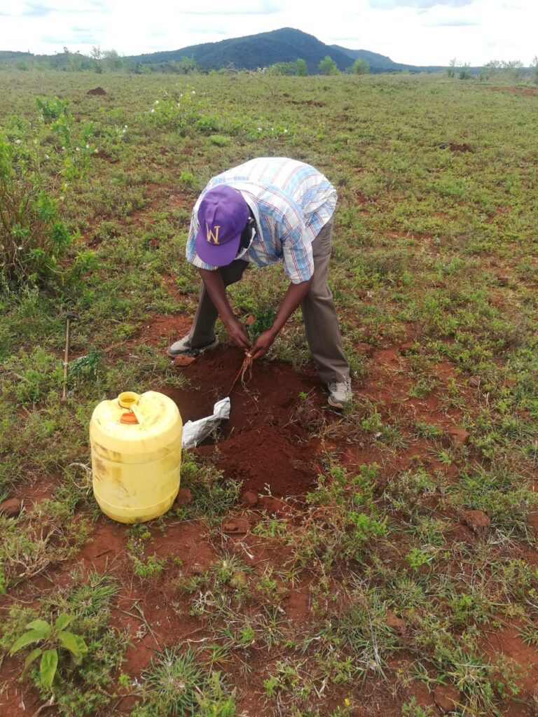 KwaKamba Tree Planting 02-05-2020 18