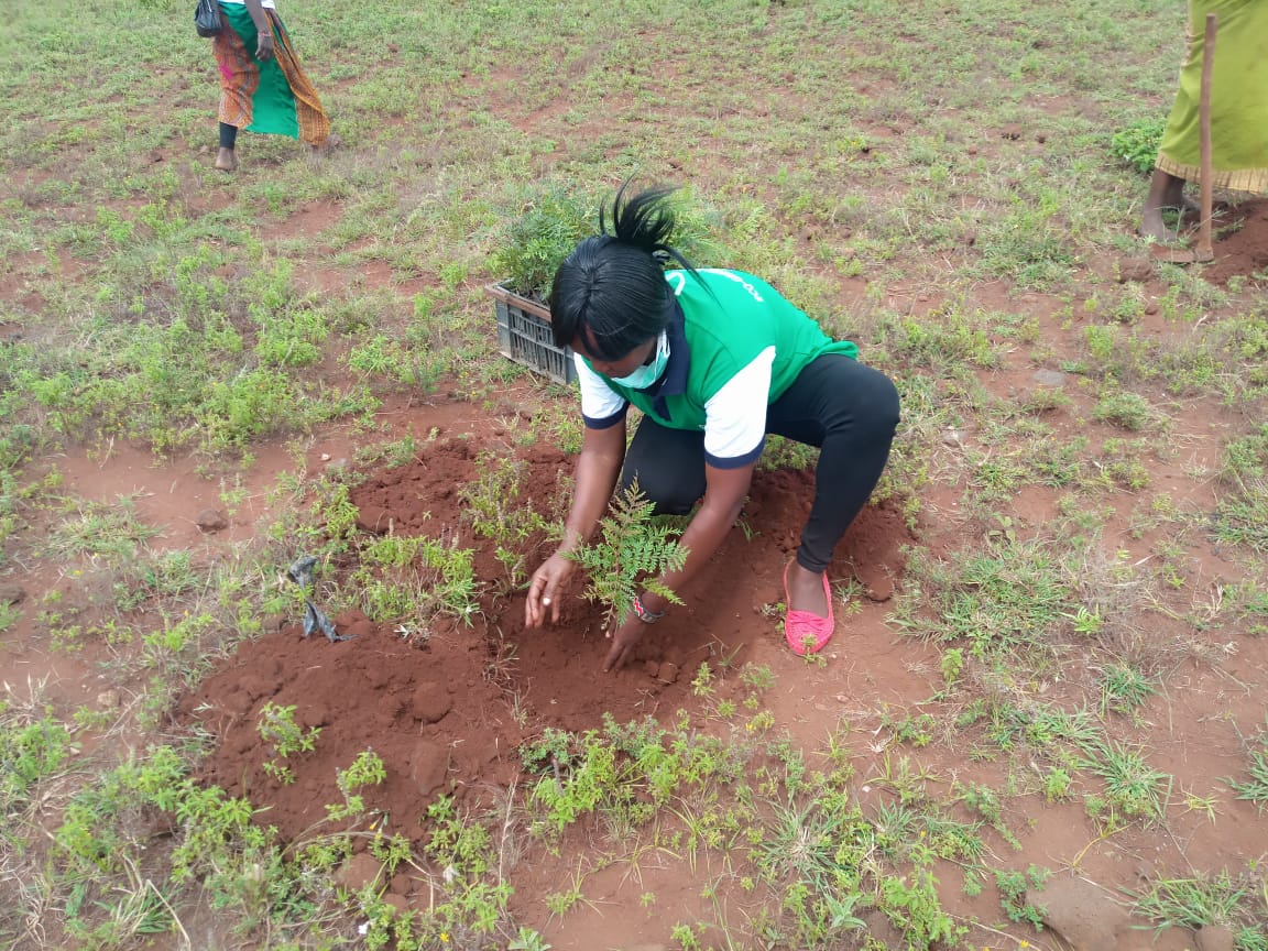 KwaKamba Tree Planting 02-05-2020 2