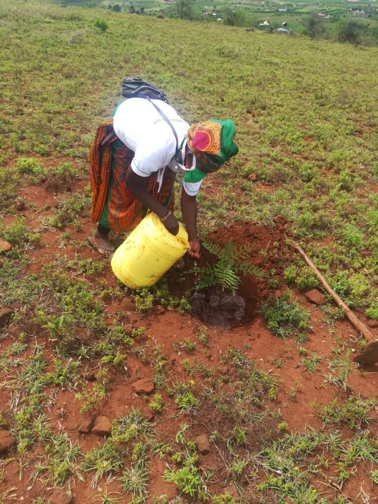 KwaKamba Tree Planting 02-05-2020 23
