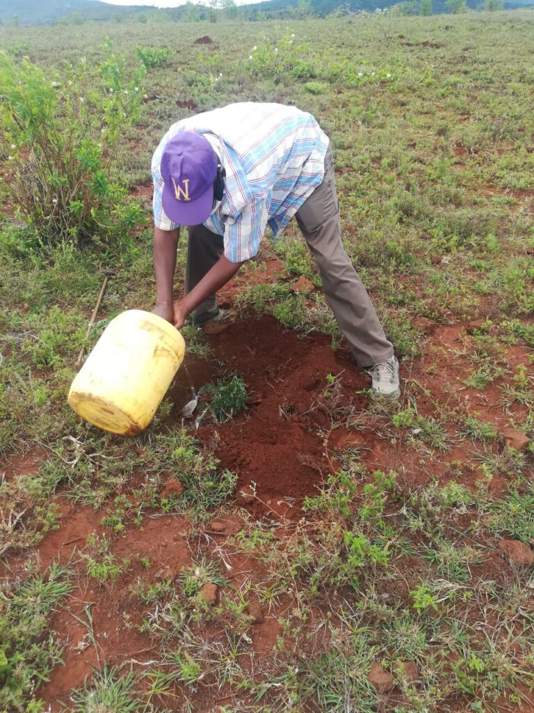 KwaKamba Tree Planting 02-05-2020 29