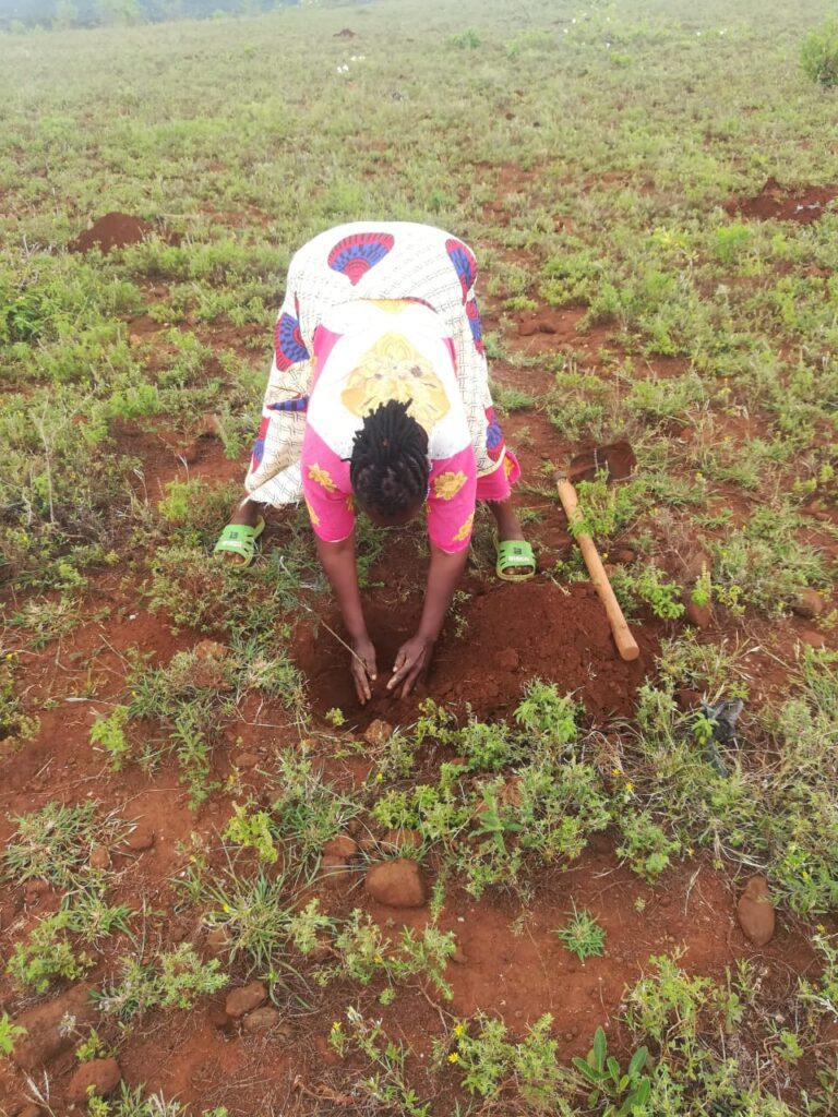 KwaKamba Tree Planting 02-05-2020 36