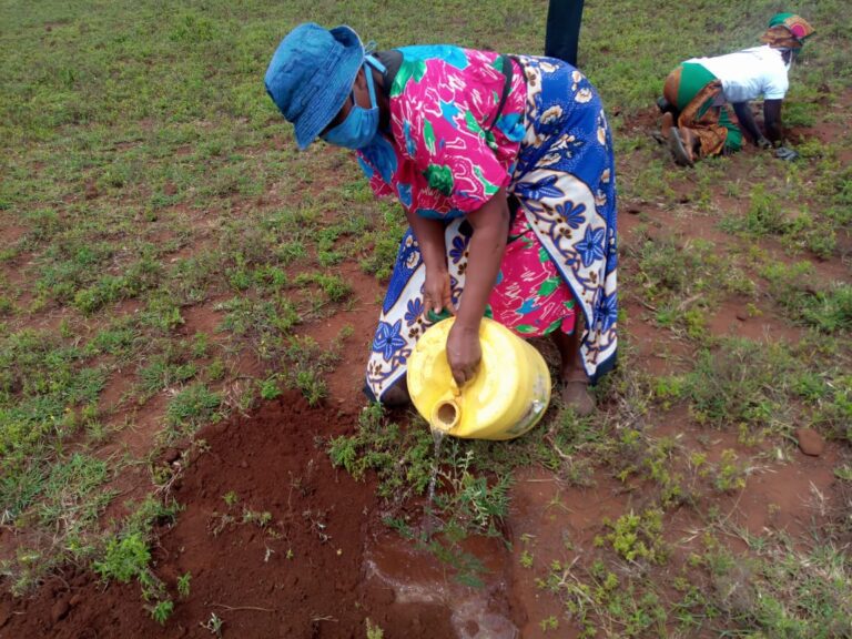 KwaKamba Tree Planting 02-05-2020 51