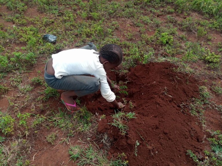 KwaKamba Tree Planting 02-05-2020 52