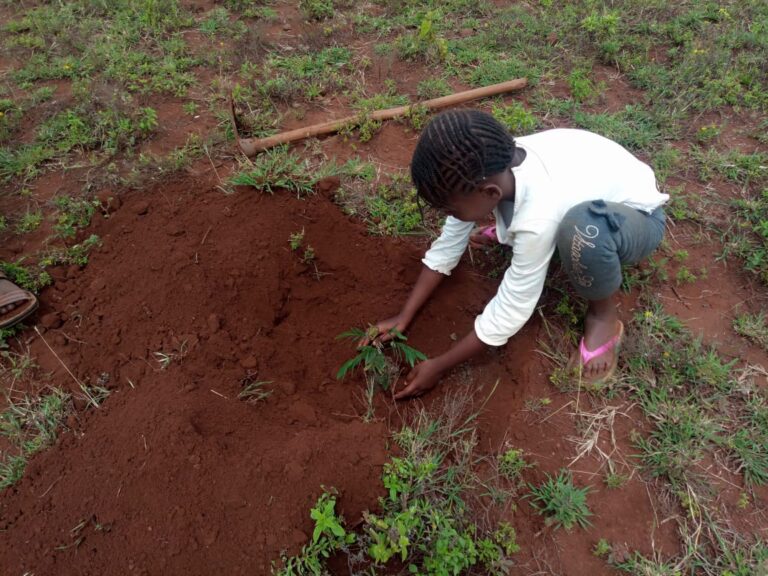KwaKamba Tree Planting 02-05-2020 8