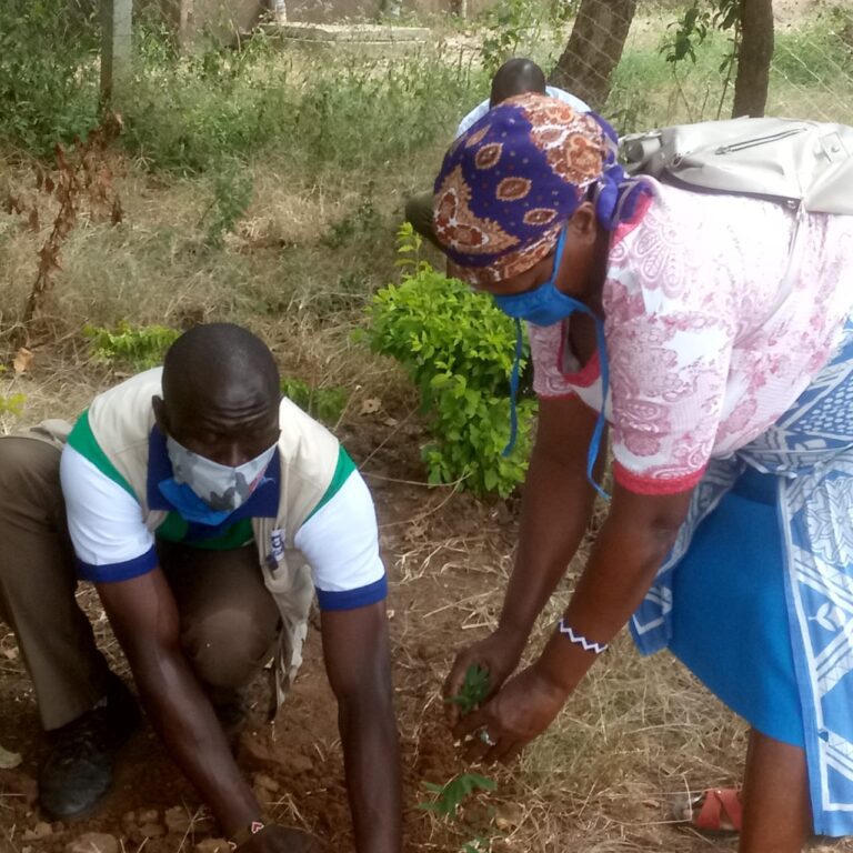 KwaMutula Tree Planting WED 05-06-2020 7