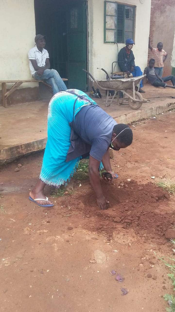 Kwakotoe Market Tree Planting 09-05-2020 4