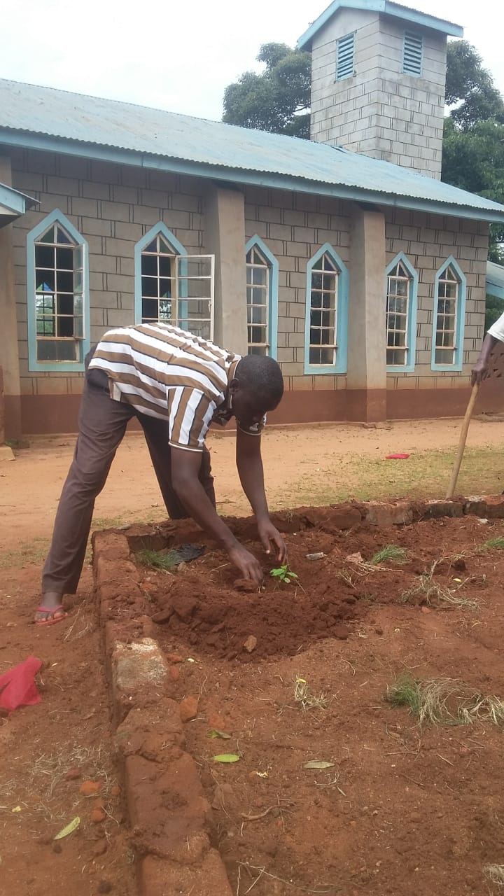 Kwakotoe Market Tree Planting 09-05-2020 5