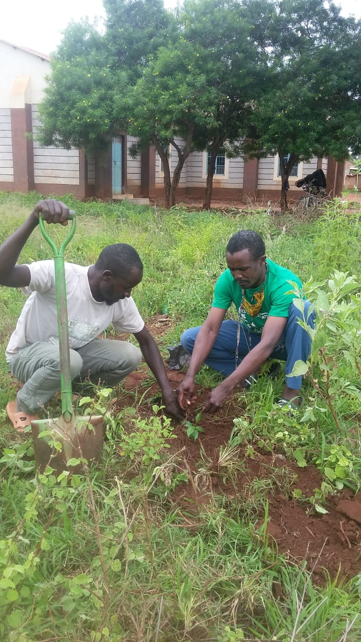 Kwakotoe Market Tree Planting 09-05-2020 6