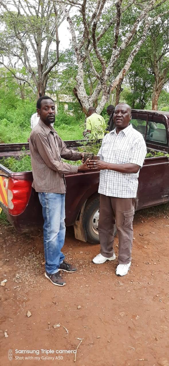 Lukenya University Tree Seedling Donations 26th Dec 2019 1