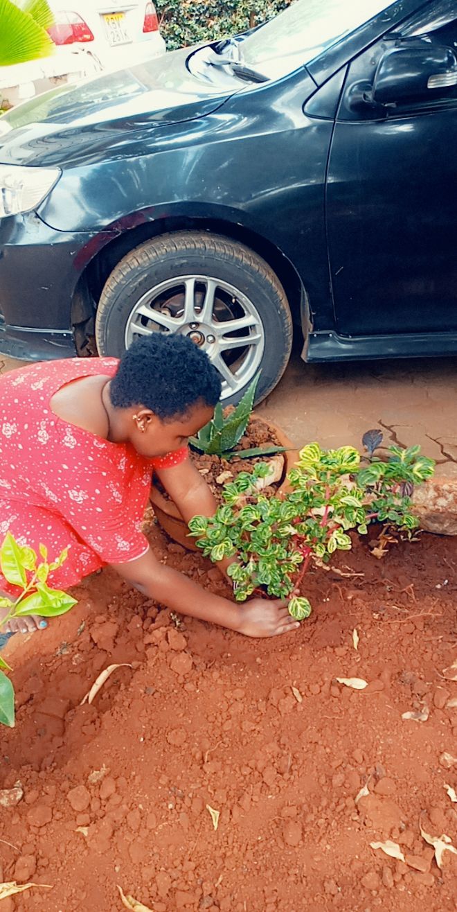 Mukami WED Home Tree Planting at Nairobi 05-06-2020 1