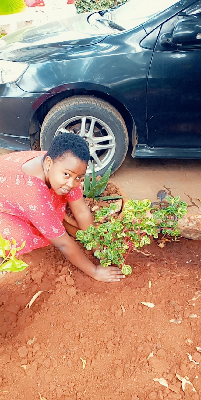 Mukami WED Home Tree Planting at Nairobi 05-06-2020