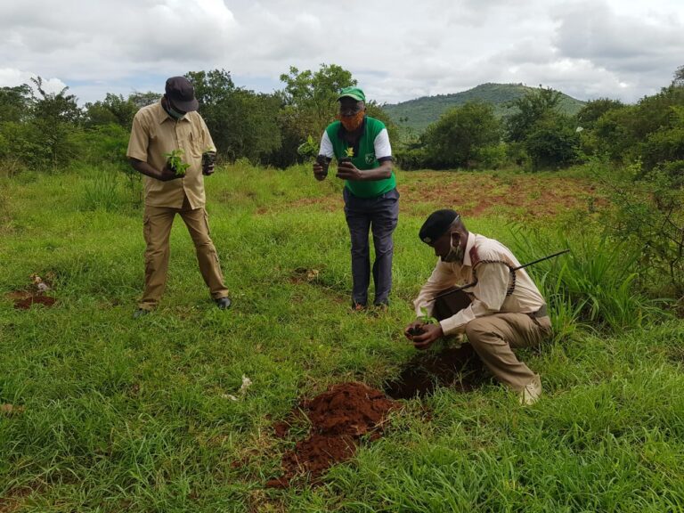 Mulala Market Tree Planting 09-05-2020 5