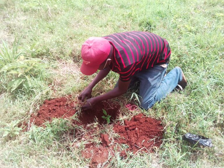 Mulala Market Tree Planting 09-05-2020 7