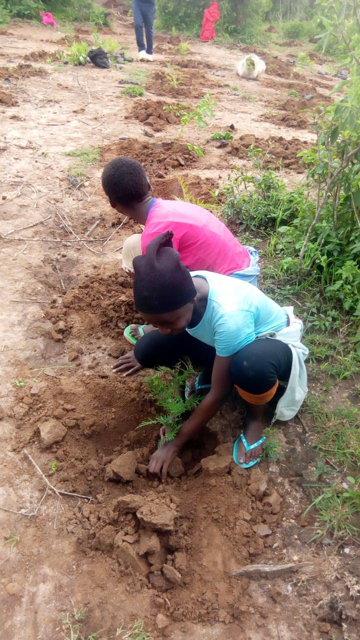 Muuni Tree Planting 26th Dec 2019 18