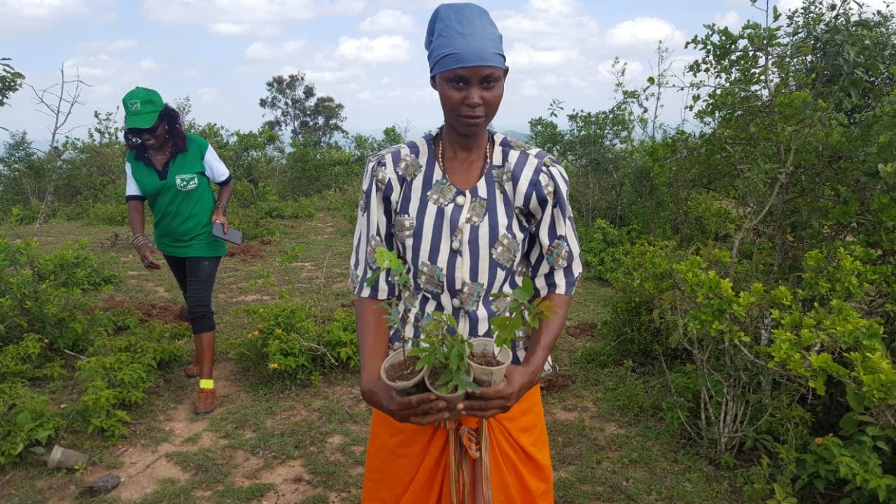 Muuni Tree Planting 26th Dec 2019 9