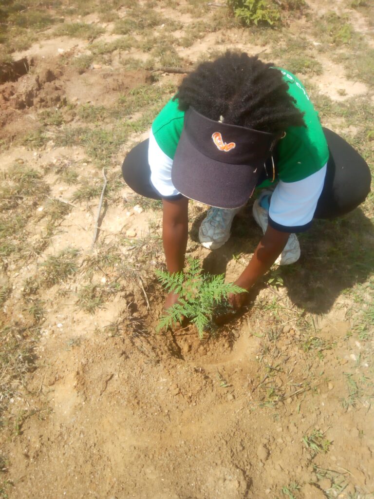 Muuni Tree Planting 26th Dec 2019 Cynthia Mueni