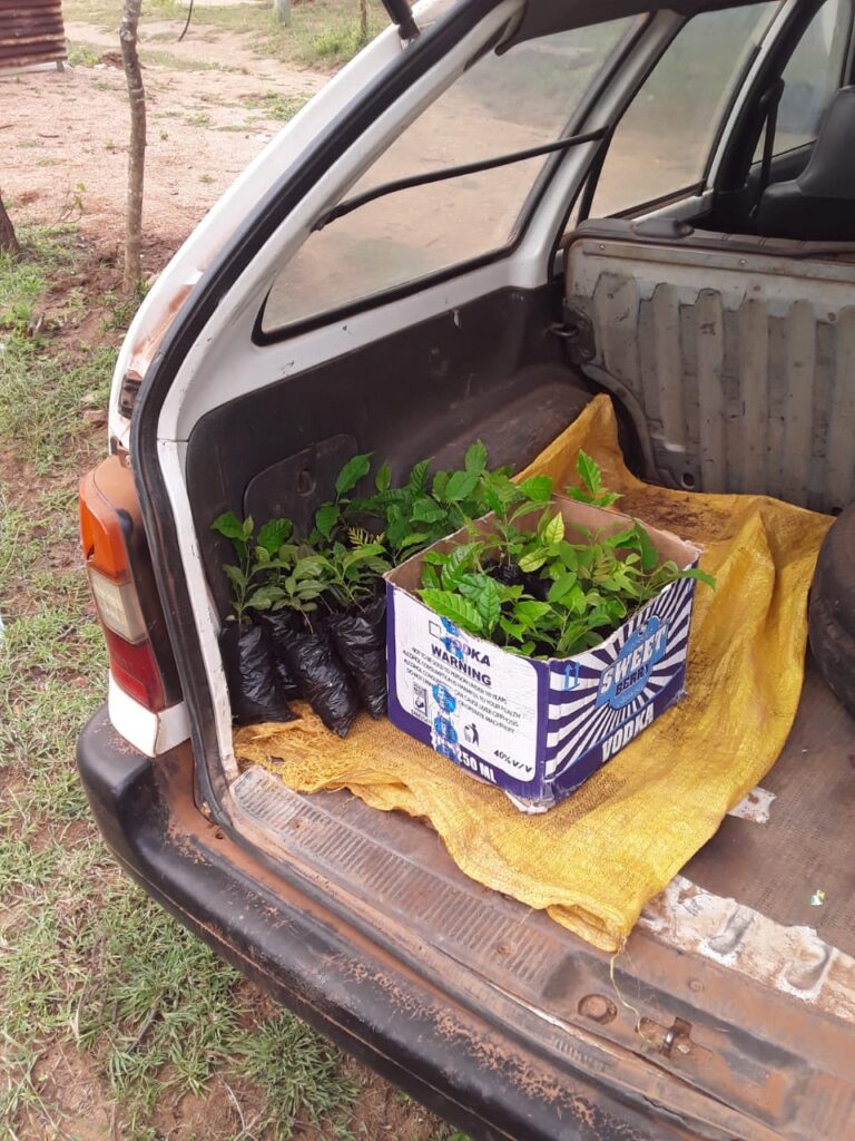 Mwanyani Dispensary Tree Planting 09-05-2020 16