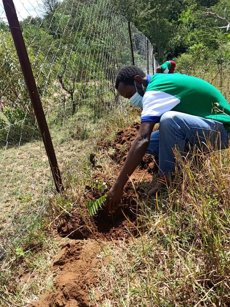 Ngoto Tree Planting 26-05-2020 11