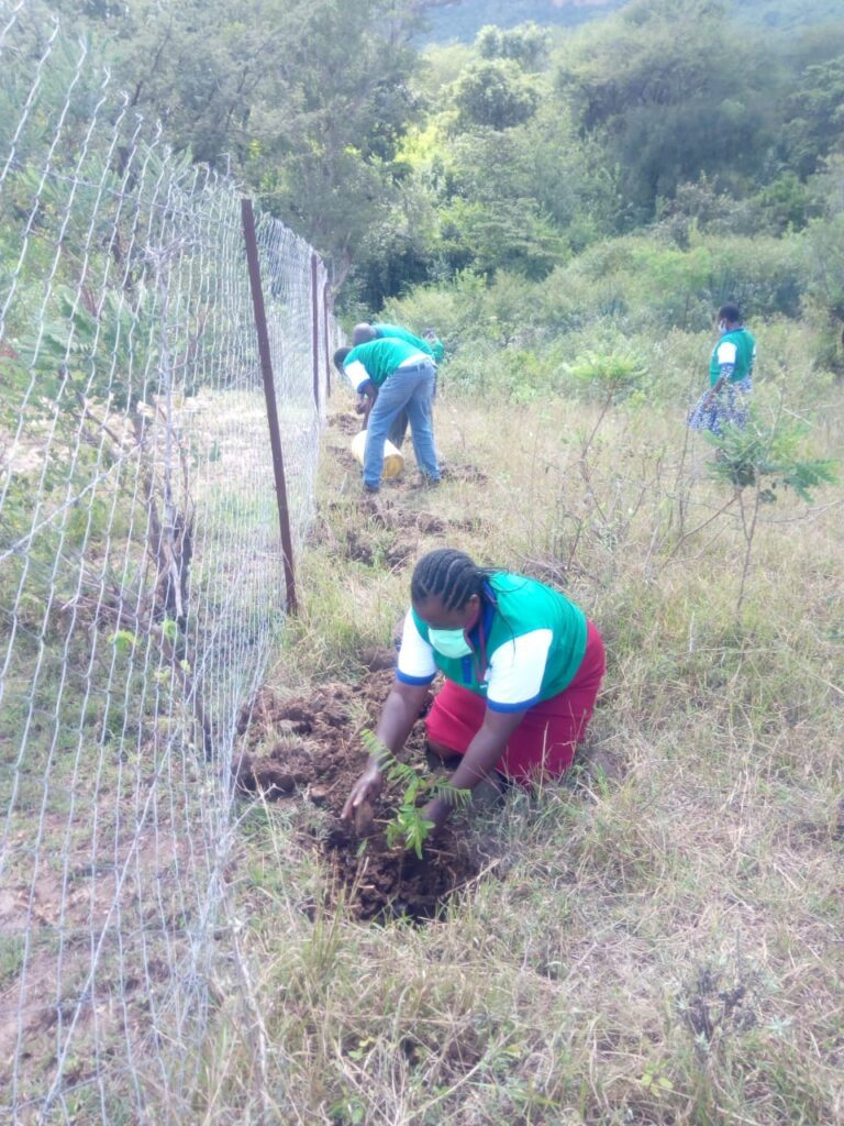 Ngoto Tree Planting 26-05-2020 15