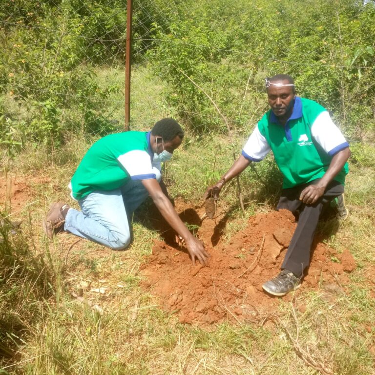 Ngoto Tree Planting 26-05-2020 19