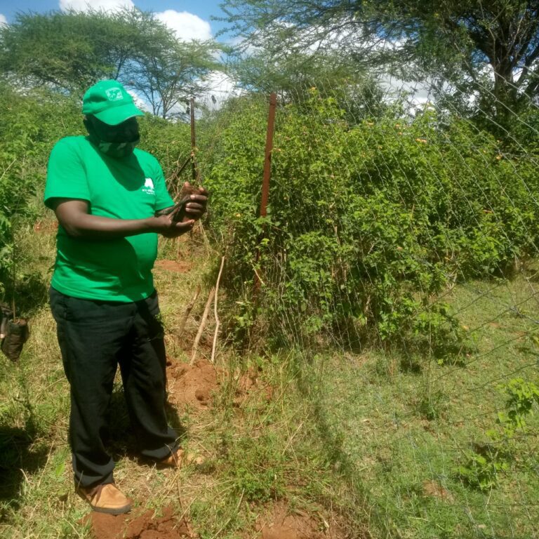 Ngoto Tree Planting 26-05-2020 21
