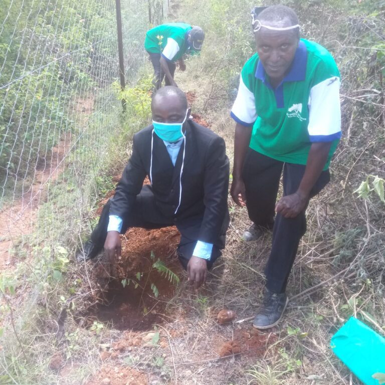Ngoto Tree Planting 26-05-2020 22