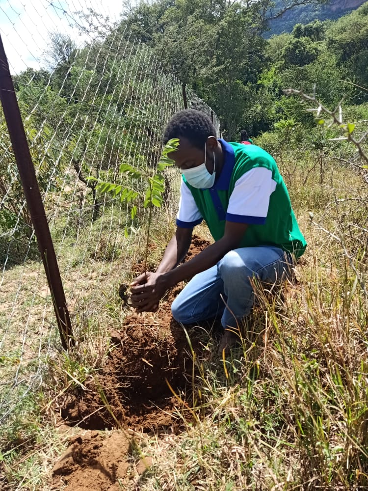 Ngoto Tree Planting 26-05-2020 4