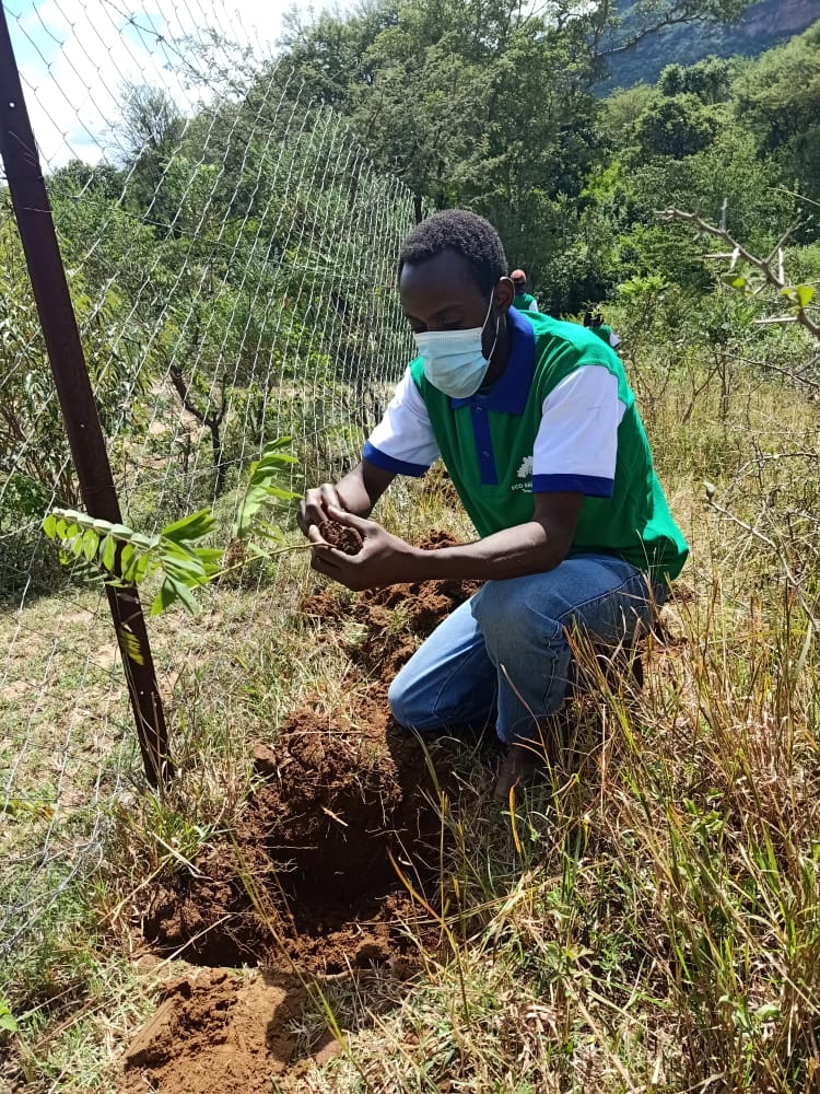 Ngoto Tree Planting 26-05-2020 7