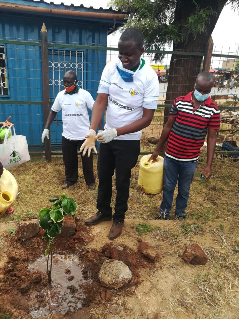 Sub County Environment Officer with EGI officials planting trees at Emali Town for WED 05-06-2020